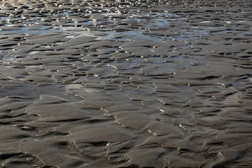 mud flats on the beach