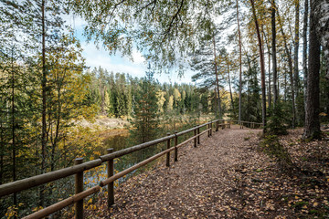 golden yellow autumn road in sunny day