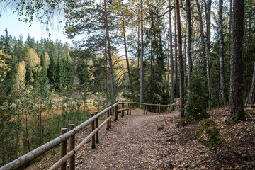 golden yellow autumn road in sunny day