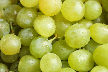 Fresh ripe juicy white grapes as background, closeup view