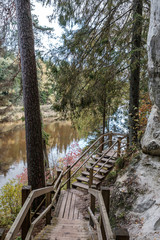 small narrow trail in the woods