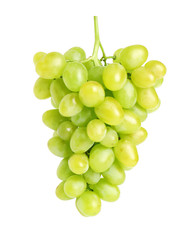 Fototapeta na wymiar Bunch of fresh ripe juicy grapes isolated on white