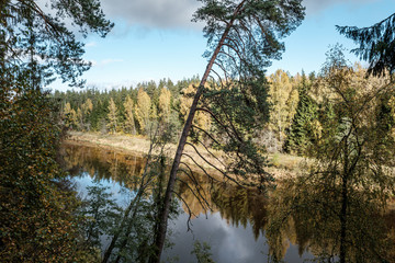 beautiful natural lake or river in autumn