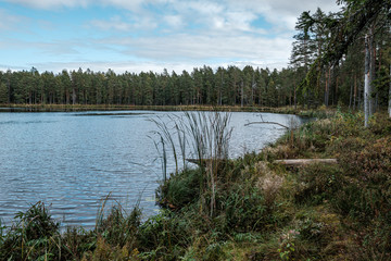 beautiful natural lake or river in autumn