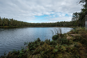 beautiful natural lake or river in autumn