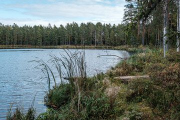 beautiful natural lake or river in autumn