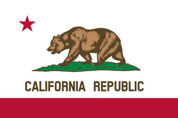 California flag. Simple flat vector illustration eps10
