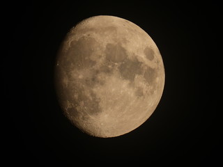 Moon in the Night