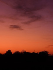Fototapeta na wymiar Sunset in a park