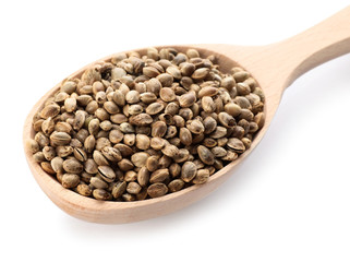 Wooden spoon with hemp seeds on white background