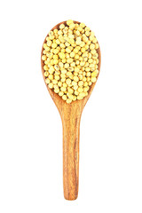 soy beans with wood ladle isolated on white