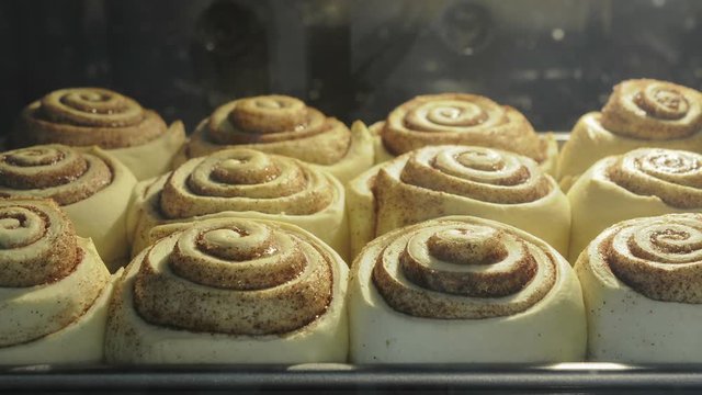 Cinnamon rolls buns baking in the oven time lapse