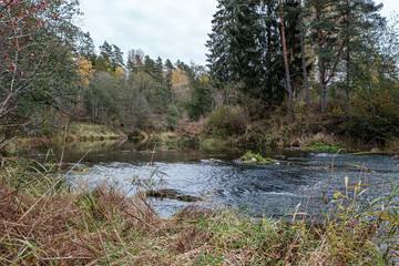 beautiful natural lake or river in autumn