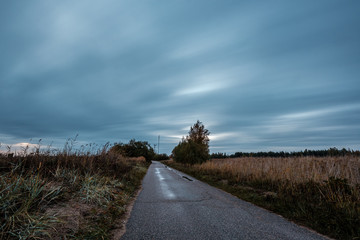 wet asphalt road in autumn forest