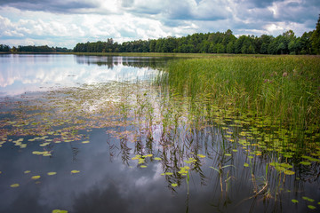jezioro Litwa Krasnogruda Miłosz © rpetryk
