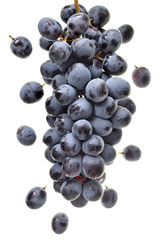 Ripe bunch of blue grapes isolated