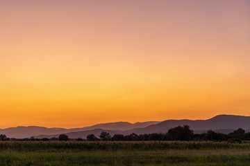 Abstract golden sunset at Georgia