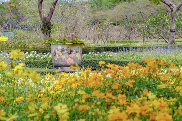 Big jar flowers paint .