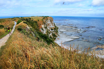 Coastline of Kaikoura Peninsula, South Island, New Zealand.