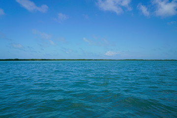 Fototapeta na wymiar Río Lagartos, Yucatán