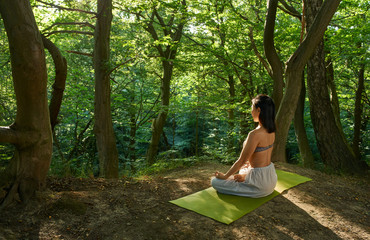 Yoga meditation in park, healthy female in peace, soul and mind zen balance concept. Vacation, summer, relaxation. Back view. Spiritual Travel Relaxation Lifestyle Concept. Harmony with nature.