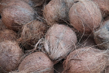 A Background Image of Fresh Coconut Husks.