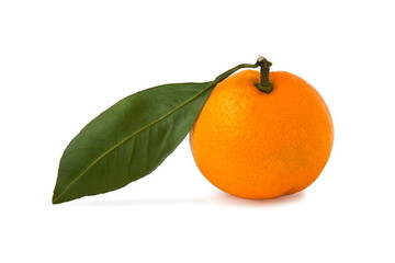  tangerine with leaf