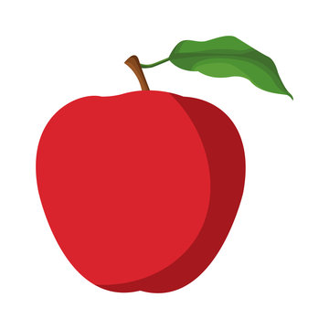 apple fruit icon image design