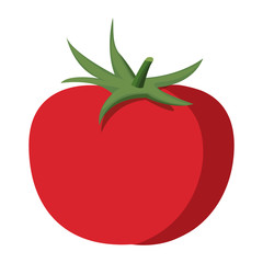 tomato vegetable icon image design