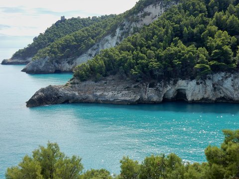 Vieste - Baia della Sanguinara