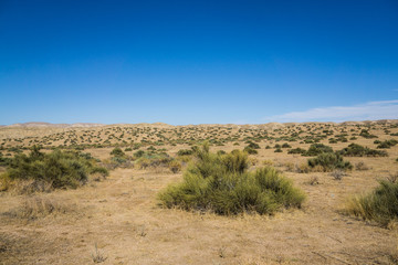 Carrizo Plain National Monument