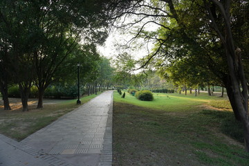 A beautiful walking track in a park surrounded with trees