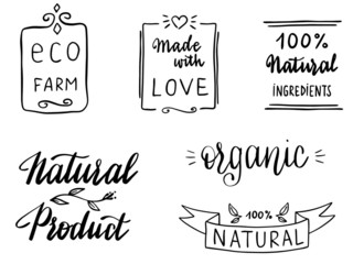 Set of hand written vector icons and words in vector: natural, ecologic, organic, vegan, 100%, eco.  Nice calligraphy elements for stamps or stickers. 