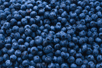 Fresh blueberry background. Texture blueberry berries close up.