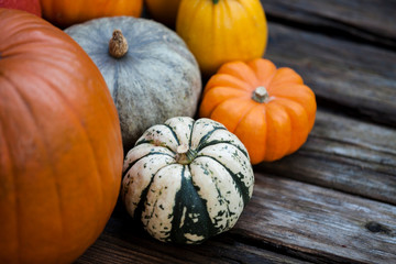 Top view on autumn still life with colorful edible decorative pumpkins on a wooden background -Autumn, Helloween, agriculture concept.