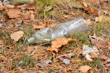 A dirty plastic bottle left in the autumn forest. Plastic wastes threatening the environment. Autumn season. Plastic bottle garbage in a forest. Nature pollution. Environment pollution. 