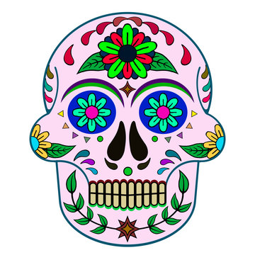 Day of The Dead, skull with floral ornament, pink, green, maroon, blue, green, lime, colors, white background