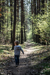 chłopiec na spacerze w lesie © panoramix777