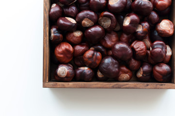 View from above on autumn decoration with harvested chestnuts in dark wooden box. White table background.