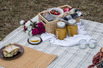 country picnic with a beautiful landscape