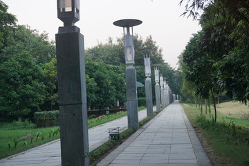 A beautiful walking track in a park surrounded with trees