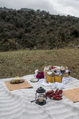 country picnic with a beautiful landscape