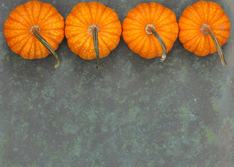 four pumpkins  on green rustic background