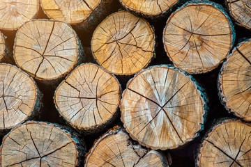Fototapeta premium Wood burning stove. Firewood for furnace heating. Warehouse for firewood for stove.Natural wooden background - closeup of chopped firewood. Firewood stacked and prepared for winter Pile of wood logs