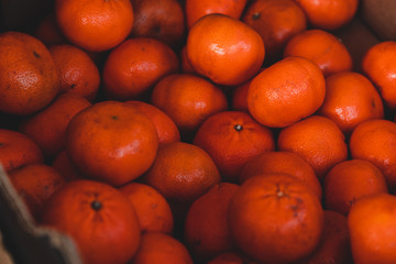 fresh oranges in the market