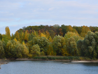 summer goes autumn comes