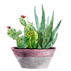 Set of watercolor hand-painted houseplants in flowerpots. can be used for poster, greeting card, scrapbooking, interior sketching. Trendy floral greenery elements isolated on white background