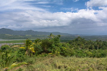 Forest jungle rural shot 