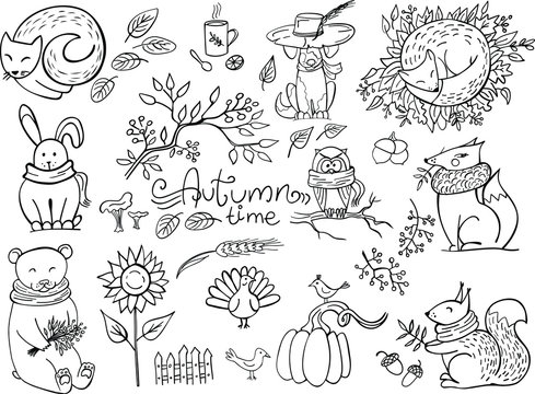 Set of doodle autumn animals isolated on white. Fox, bear, squirrel, hare, owl, cat, dog. Vector illustration. Perfect for coloring book, greeting card, print.