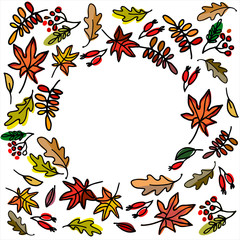 Autumn seasonal frame with leaves and berries on white background